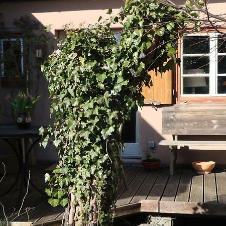 Ferienhaus Witta Villa Radebeul Eksteriør bilde